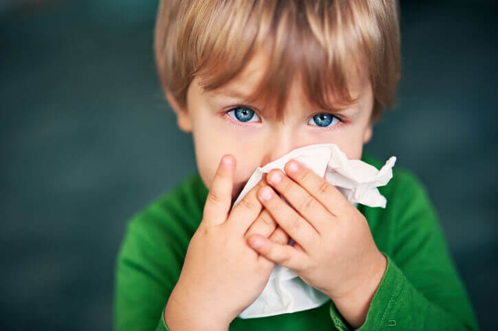 Allergies - Organic Cleaning Marin